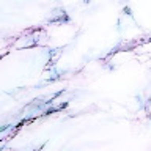 Meet your Posher, Rollie